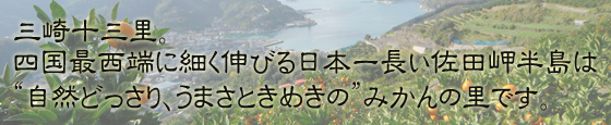 三崎十三里。四国最西端に細く伸びる日本一の佐田岬半島は「自然どっさり、うまさときめきの」みかんの里です。