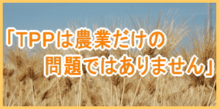 �H�Ƃ��炵�ƒn������l�b�g���[�N���Q