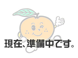 X܉摜