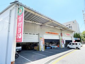 特産センター　甘柑日和